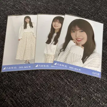 노기자카46 오가와 아야 브로마이드 메쉬 니트 컴프