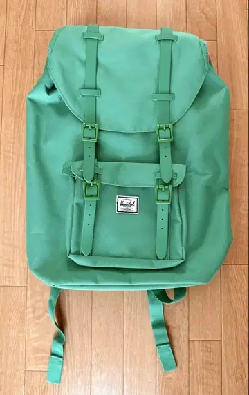 Herschel 허셀 백팩 백팩 그린 그린