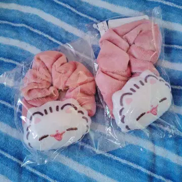포메라니안 모치 스크런치