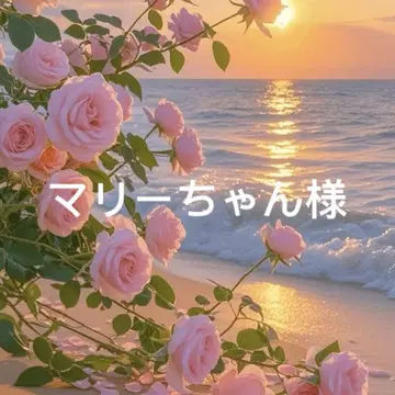 CELFORD 블랙 s