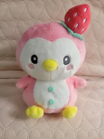 제오 참 포포 봉제 인형