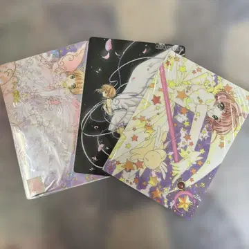 카드캡터 사쿠라 한정판 클리어 파일