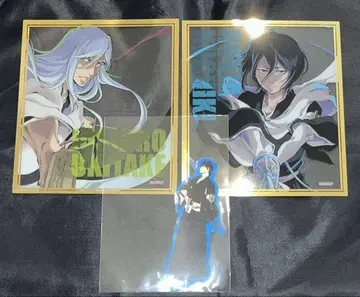 BLEACH 우키타케 토시로 후목 루키아 시바 카이엔