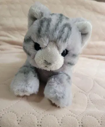 고양이 봉제 인형