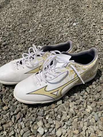 Mizuno Alpha 미즈노 축구 트레이닝 슈즈