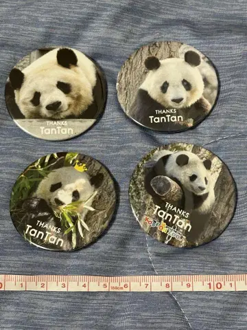 탄탄 왕자 동물원 공식 캔뱃지 팬더