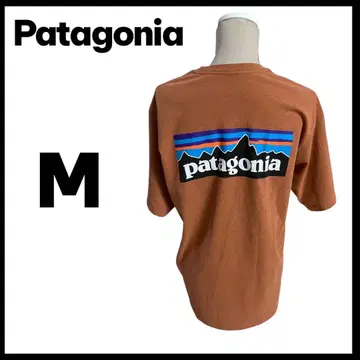 Patagonia 브라운 티셔츠 M
