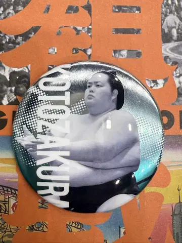 스모 선수 전원이 모인 캔뱃지 코토자쿠라