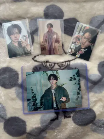 리노 묶음 판매
