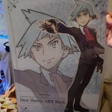 포켓몬 New Hoenn ART Book