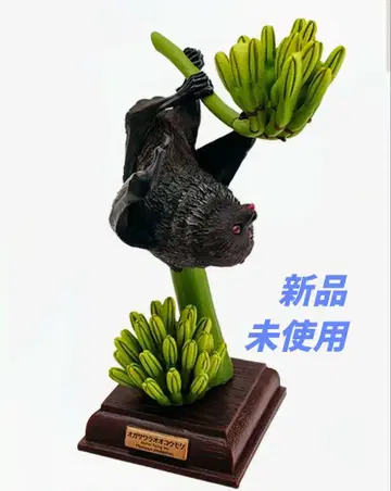 네이처 테크니컬러 오가사와라 오가사와라 오코모리 리플렛 포함