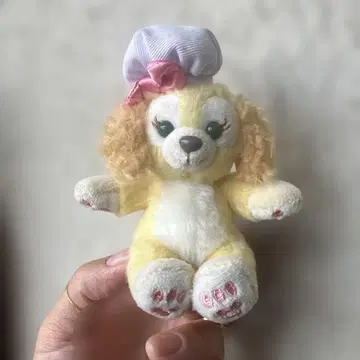 쿠키