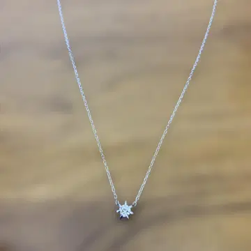 플라티나 다이아몬드 목걸이.