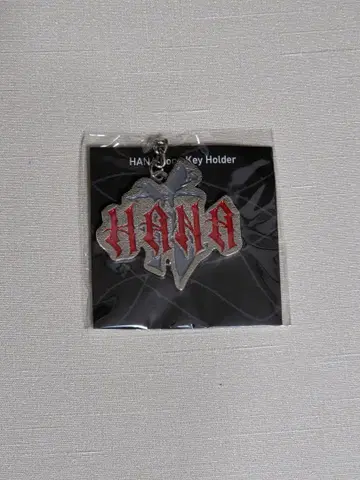 HANA 로고 키링