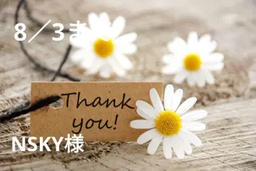 NSKY님