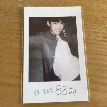seventeen 세부치 에스크 boysbe