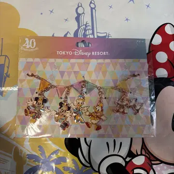 새상품 디즈니 40주년 Dream Go Round 참 리조트