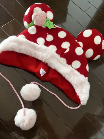 미니 팬 캡