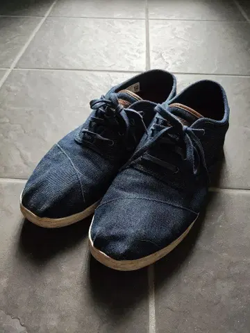 TOMS 캠퍼스 세련된 신발