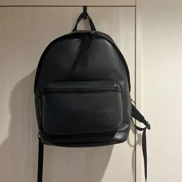 THE NORTH FACE 튜닝 가죽 버클레이 미니