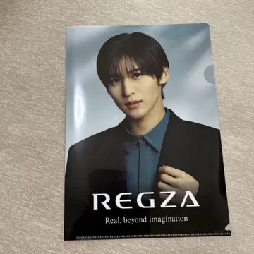 REGZA 클리어 파일 메구로 렌