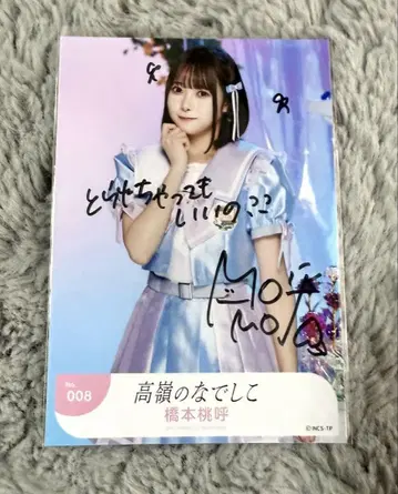 타카미네 나데시코 브로마이드 직필 하시다 모모코