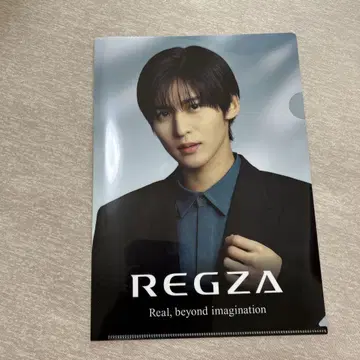 REGZA 클리어 파일 메구로 렌
