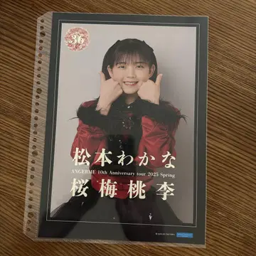 안주루무 마츠모토 와카나 씨의 핑업 포스터!