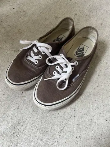 Vans 브라운 로우 컷 스니커즈