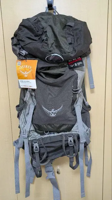 Osprey Kestrel 38 백팩 그레이