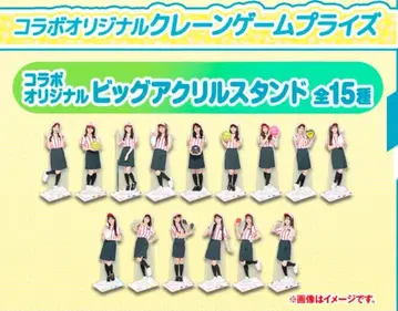 AKB48 라운드 원 아크릴 스탠드 15종 컴플리트