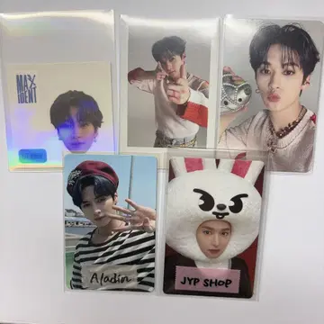 straykids 리노 트레이딩 카드