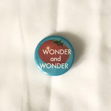 히토리 WONDER and WONDER 캔뱃지