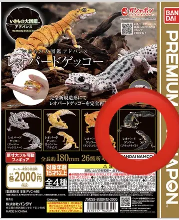 프리미엄 가샤폰 레오파드게코