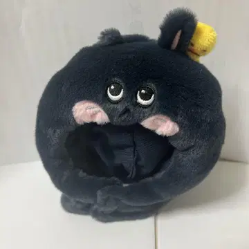RIIZE 원빈 응원봉 커버