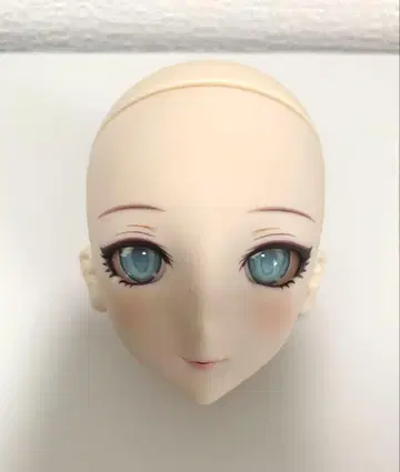 보크스 아나스타샤 헤드 DDS
