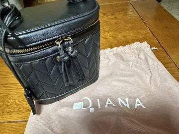 DIANA 다이애나 베니티 백