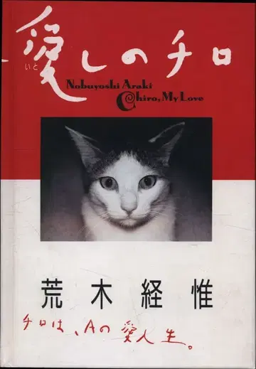 아라키 케이지 사랑하는 치로