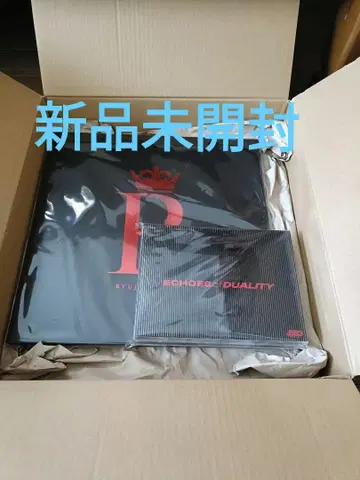 3대째 이마이치 류지 ECHOES of DUALITY R 앨범