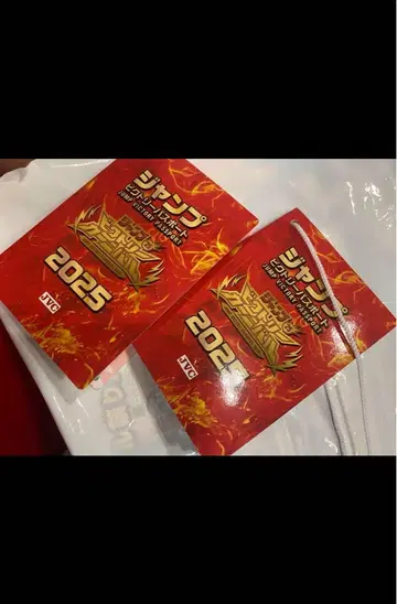 점프 빅토리 여권 2025 점프 페스타 빅토리 카니발