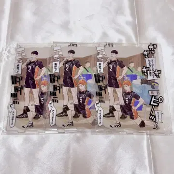 하이큐 히나타 쇼요 카게야마 토비오 아크릴 스탠드 아크릴 스탠드 전 세트