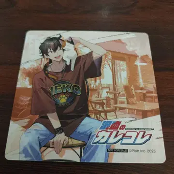 혼혈 카레코레 마네키네코 카게치요 코스터 카레코레 콜라보