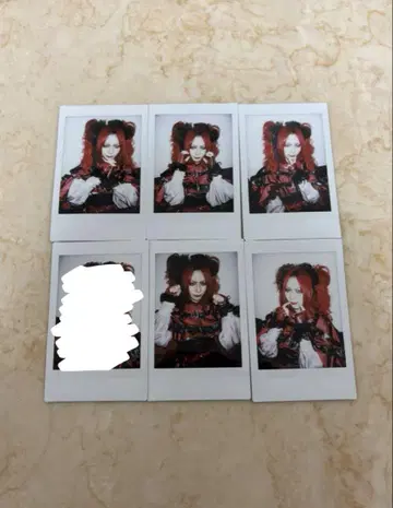 공대 폴라로이드