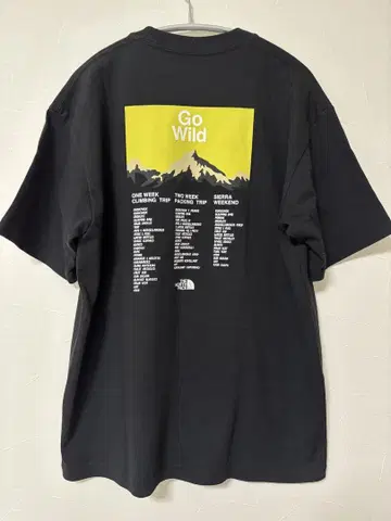 THE NORTH FACE Go Wild 티셔츠 L 블랙