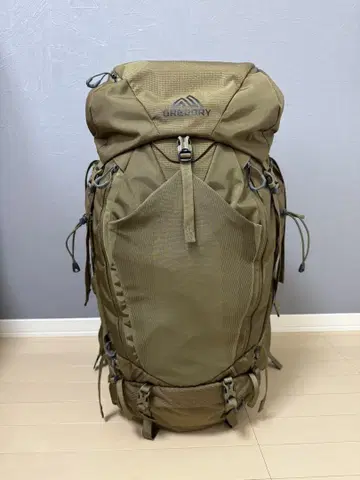 GREGORY BALTORO 65 PRO 한정판 모델(크로커다일 그린)