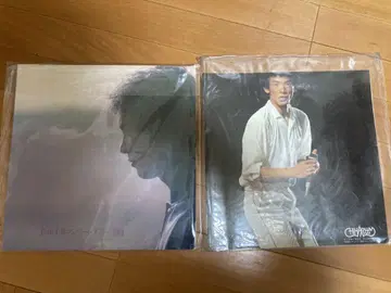마쓰야마 치하루 콘서트 투어 1981 팜플렛과 라이브 장면 핑
