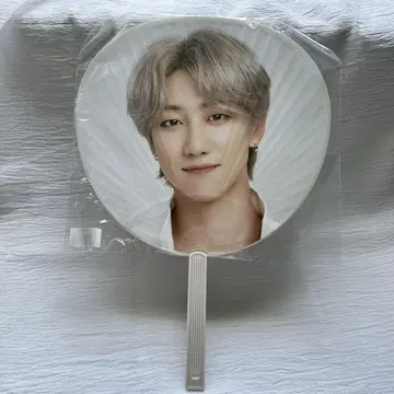SEVENTEEN THE 8 부채 Ode to You