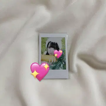 세이 류토 25 세이 유나 란체키