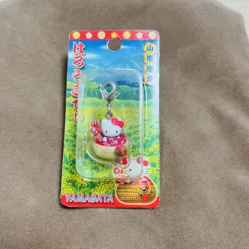 레어 지역 한정 키티 헬로키티 스트랩 바스켓 포함