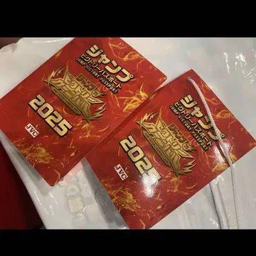 점프 빅토리 여권 2025 점프 페스타 빅토리 카니발